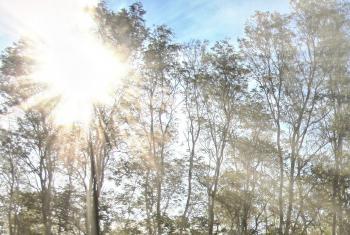 Radiació solar