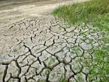 Canvi climàtic. Causes i conseqüències
