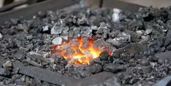 Carbó, Origen, tipus i característiques d'aquest combustible fòssil