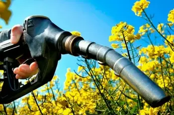 Els biocombustibles i els biocarburants com a font d'energia