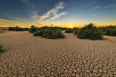 Escalfament global: causes i conseqüències